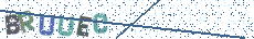 輸入圖片上的文字